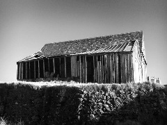 In the Green&nbsp;Room