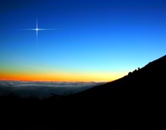 evening star evening star