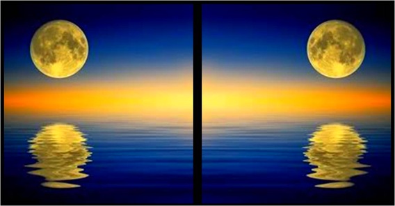 Mirror Image Mirror Image