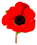 poppy