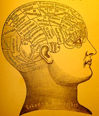 Phrenology - Wikipedia