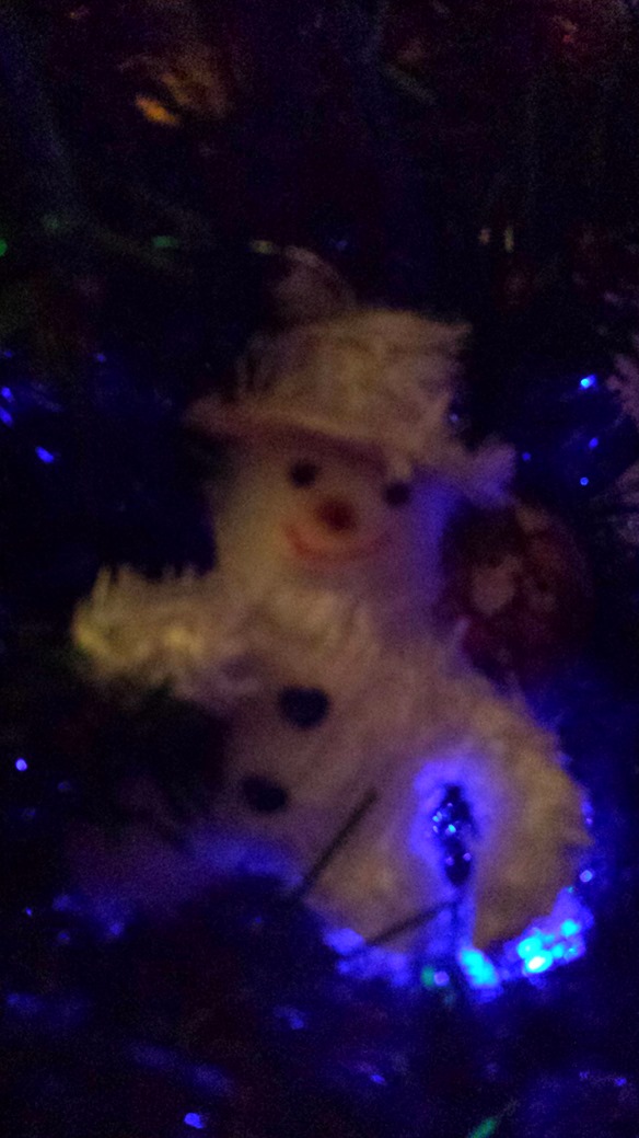 Lesser Spotted Christmas Tree Climber