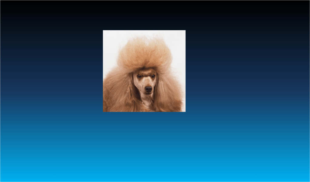 Changing Appearances