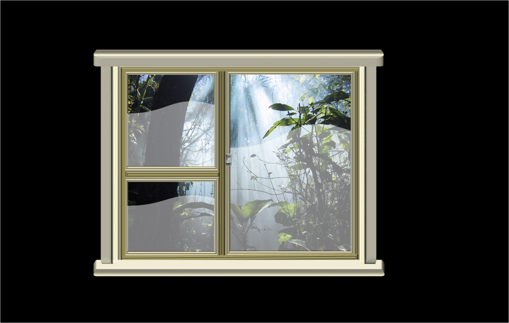 View from the window: It&rsquo;s a JUNGLE out&nbsp;there!