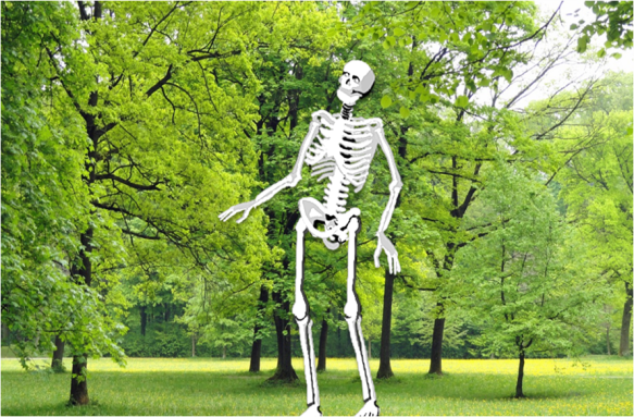 No Longer In The Haunted Graveyard