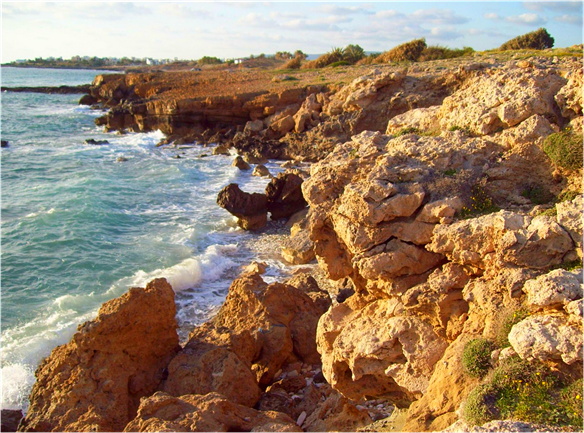 look familiar? look familiar?