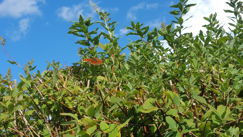 Out and About, Around the&nbsp;Grinds