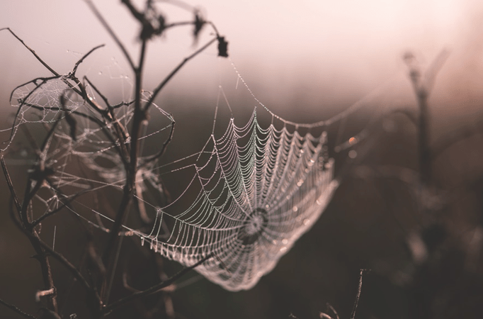 Hurried Hallowe&rsquo;en Haiku: Sinister&nbsp;Sides