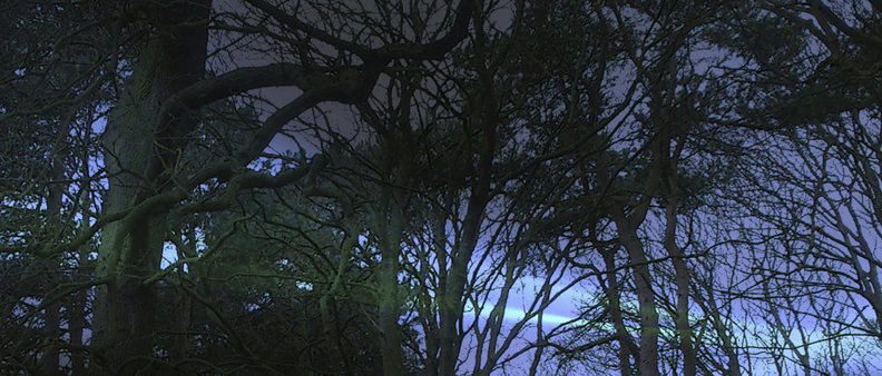 Hurried Hallowe&rsquo;en Haiku: Night&nbsp;Life