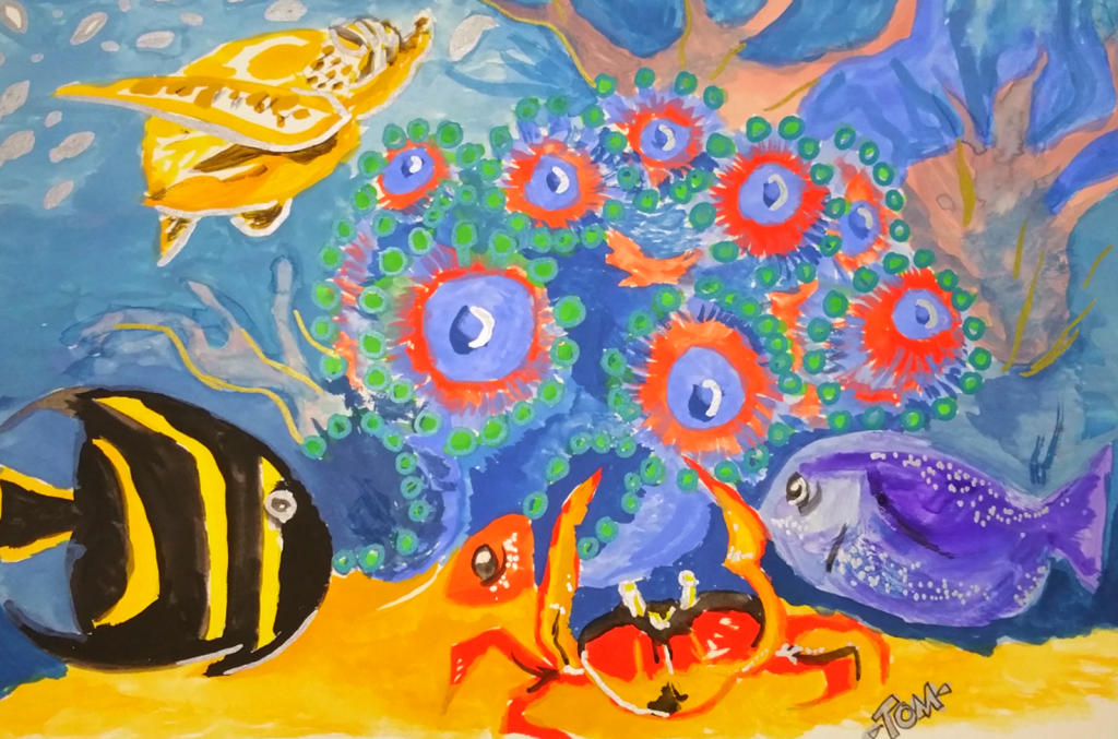 Natural Beauty: Sea&nbsp;Life