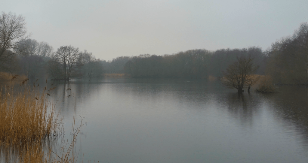 Natural Beauty: Landscapes