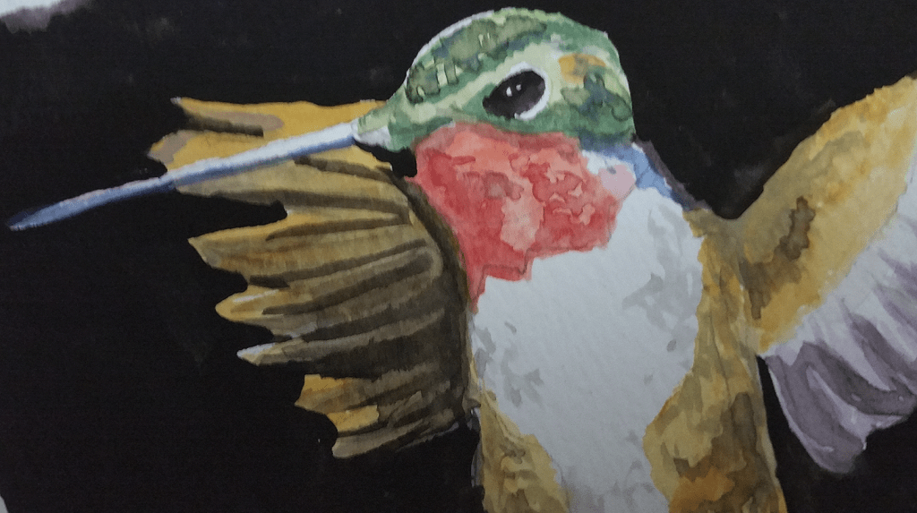 Natural Beauty: Birds