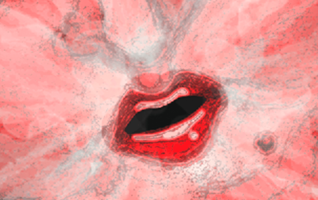 Storm Doris (including Cute Critter Friday)