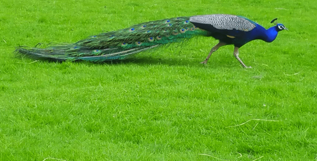 Letters to the Universe&hellip; Fabulous First&nbsp;Edition!