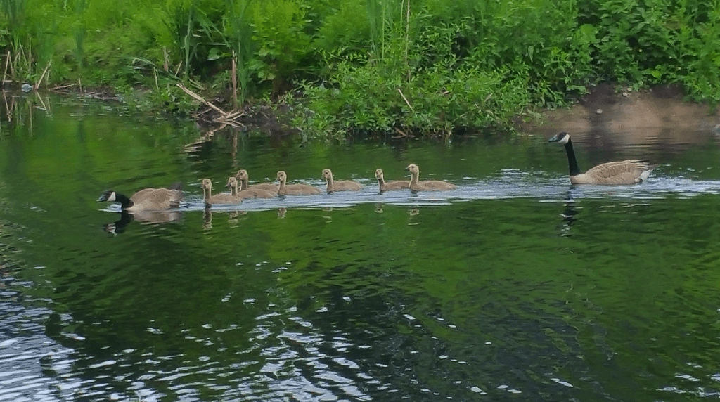 Letters to the Universe&hellip; The One Minute It&rsquo;s Hot&nbsp;Edition!