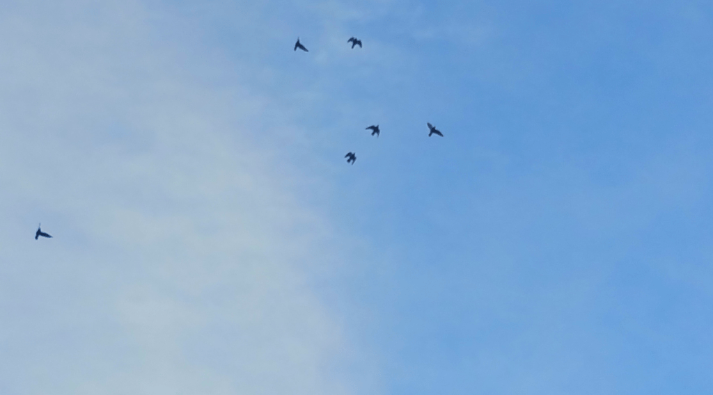 Cloudy Again. Yay! But Hot. Boo!