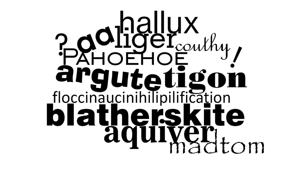 Weird Words of a Wonderful&nbsp;World