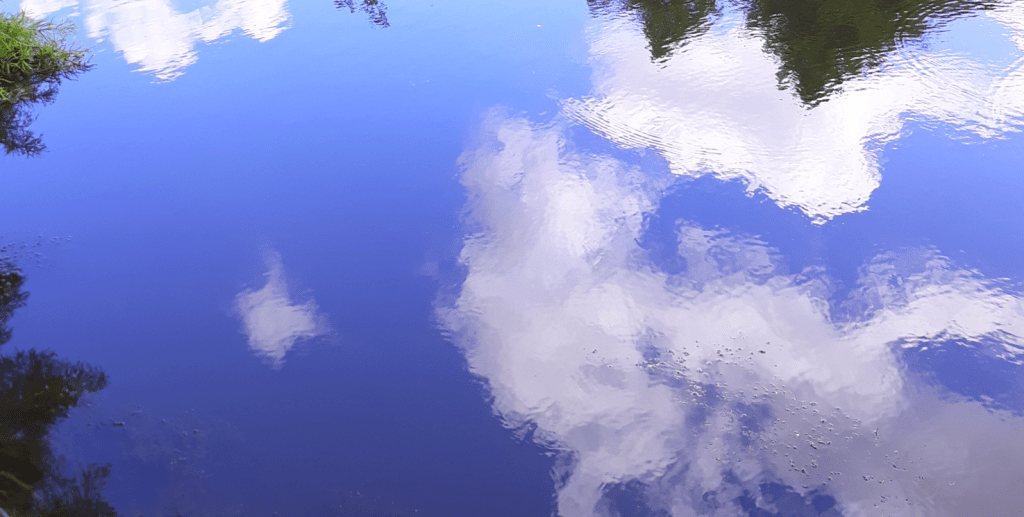 Letters to the Universe&hellip; The Reflections&nbsp;Edition!