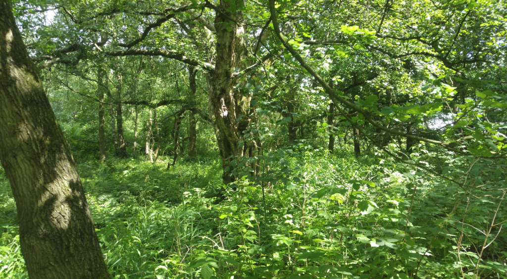 Letters to the Universe&hellip; The Final&nbsp;Edition*!