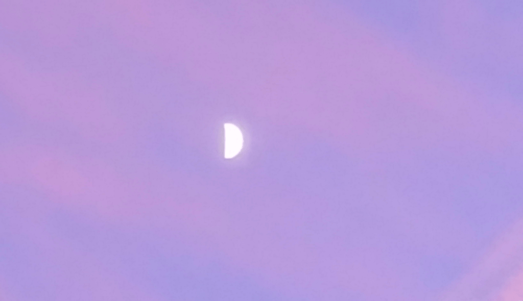 Perfect for Flying (Or Luna Ticks the&nbsp;Box)