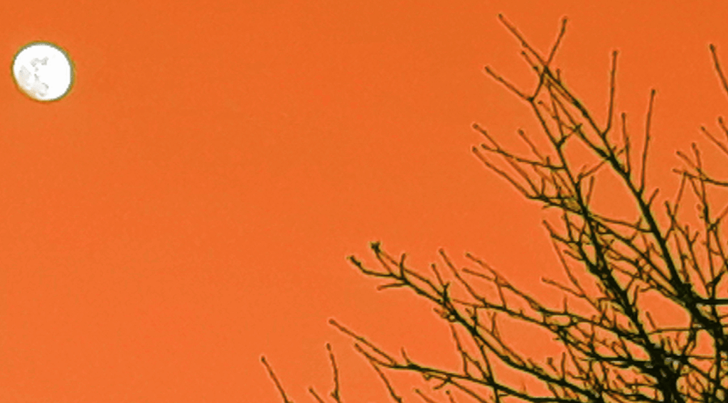 Letters To The Universe&hellip; The Easy Reading&nbsp;Edition