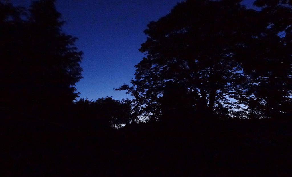 A Summer&rsquo;s Day