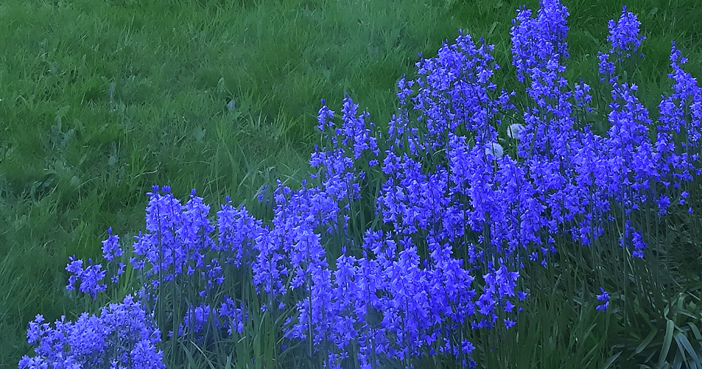 Letters To The Universe&hellip; The It&rsquo;s Friday Again&nbsp;Edition