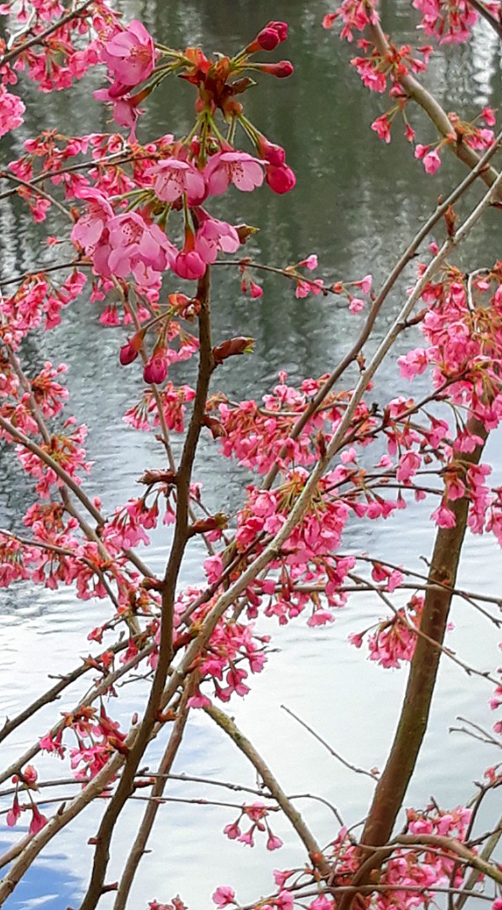 Letters To The Universe&hellip; The Ahhh&nbsp;Edition