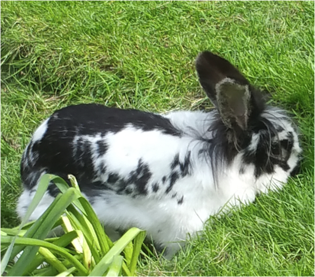 It&rsquo;s the First of the&nbsp;&lsquo;Bers!