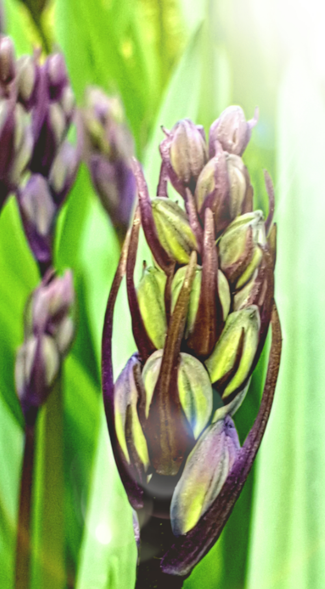 Now with a hint of&nbsp;blue