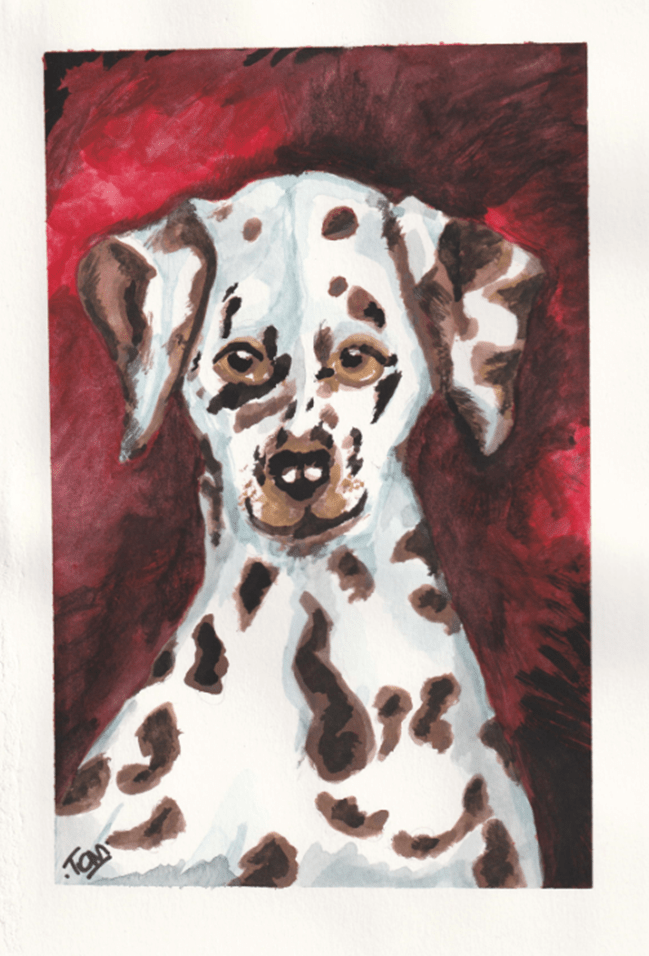 Dodgy Dalmatian