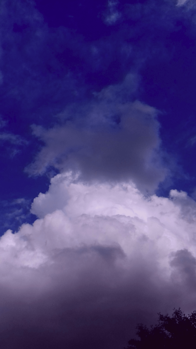 Imagine What I&nbsp;See