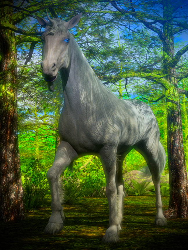 Seeing and Believing