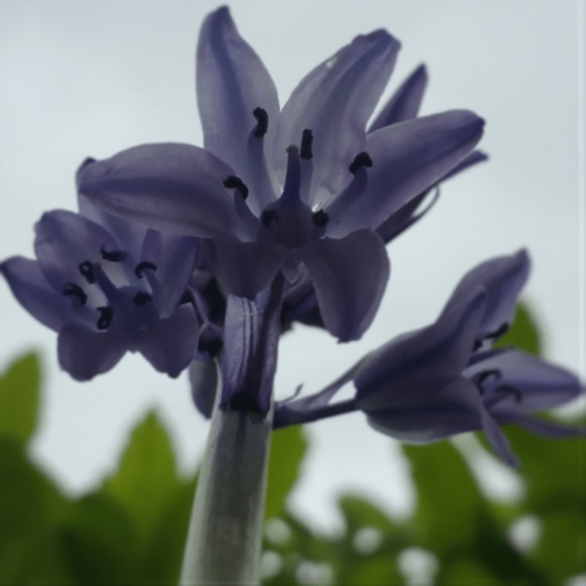 Getting Down, Looking Up, Thinking Back