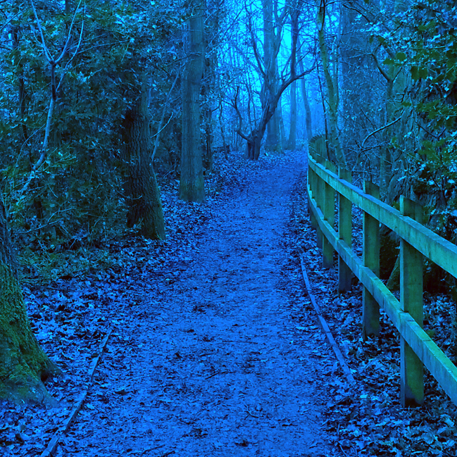 Practicing with some photo editing software