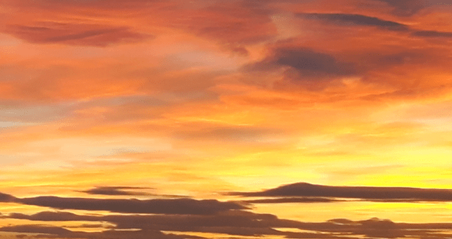 Tilly’s Musical Interlude