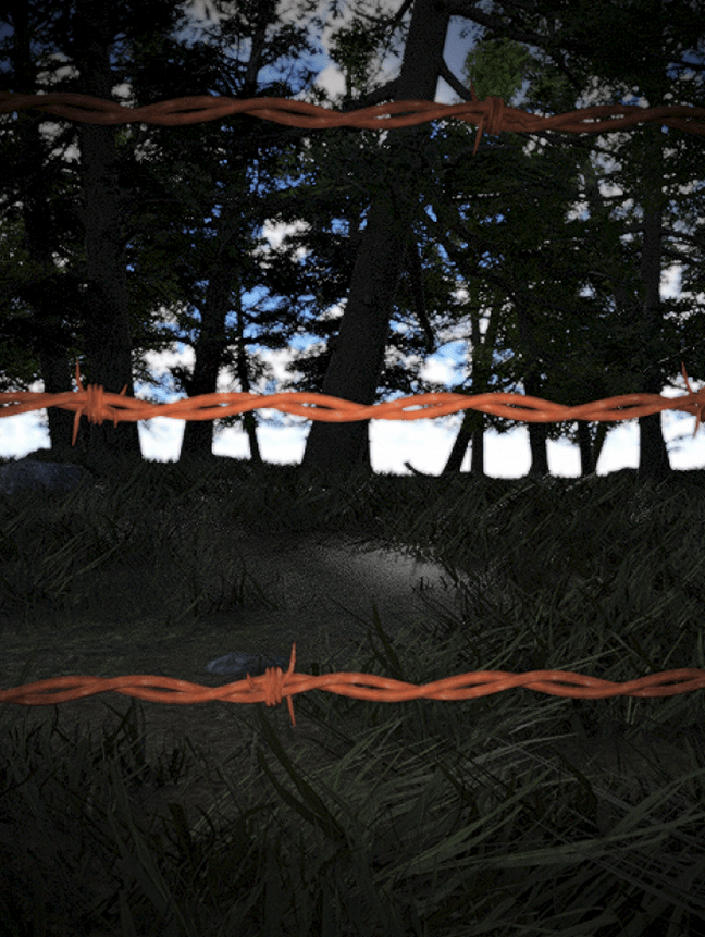 Living on Barbed Wire: For&nbsp;Debbie