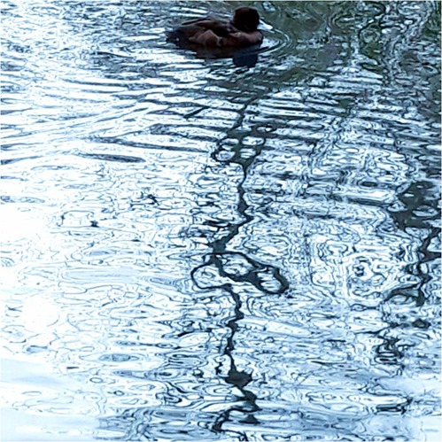 Killing Two Birds with One Stone