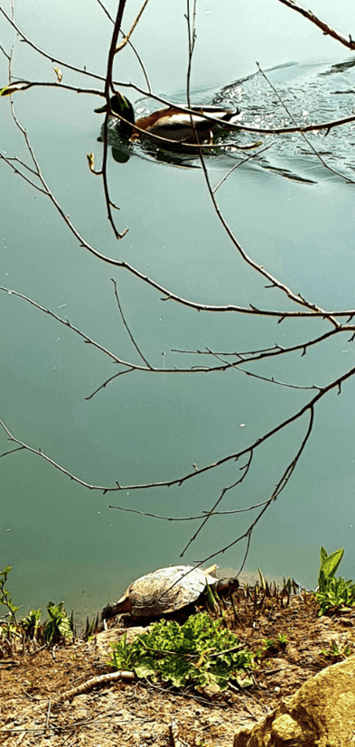 Like Ships that Pass in the&nbsp;Night