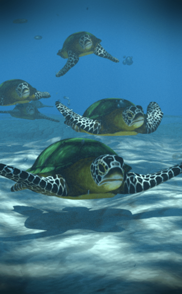 Just Beneath the&nbsp;Surface