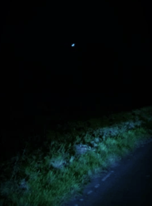 The Willows–Part One