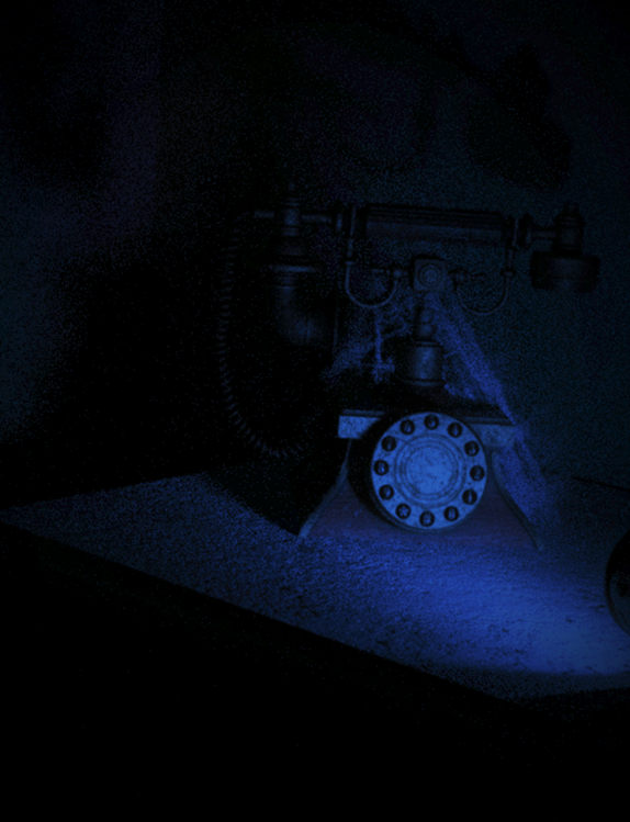 The Willows–Part Four