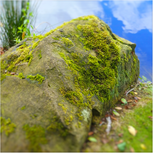 The Odd Profile or&nbsp;Two