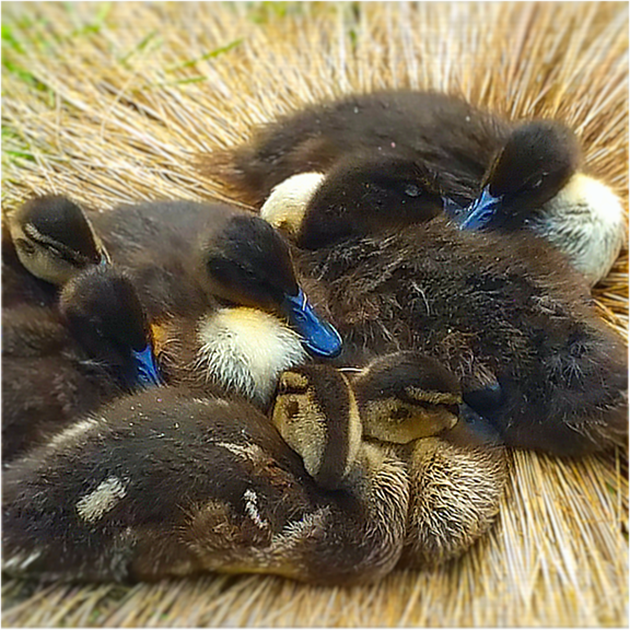 After a Couple of Odd&nbsp;Days