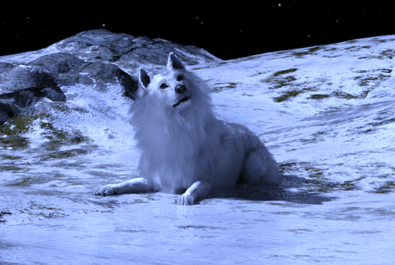 The Legends of Europa: the&nbsp;Glacierwolves