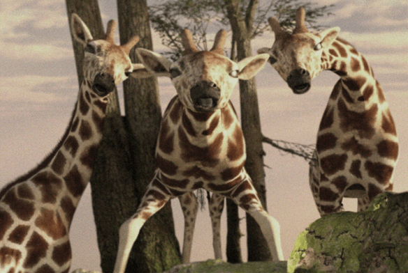 The Odd Thing About Rabbit Holes&nbsp;(1)