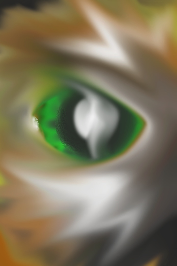 Cat’s Eye Abstract