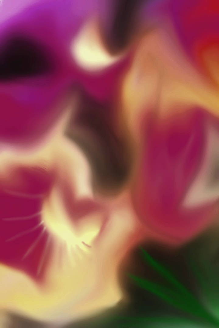 I Never Promised A Rose&nbsp;Garden