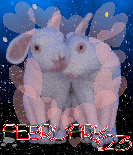 White Rabbits! It&rsquo;s February&nbsp;2023!