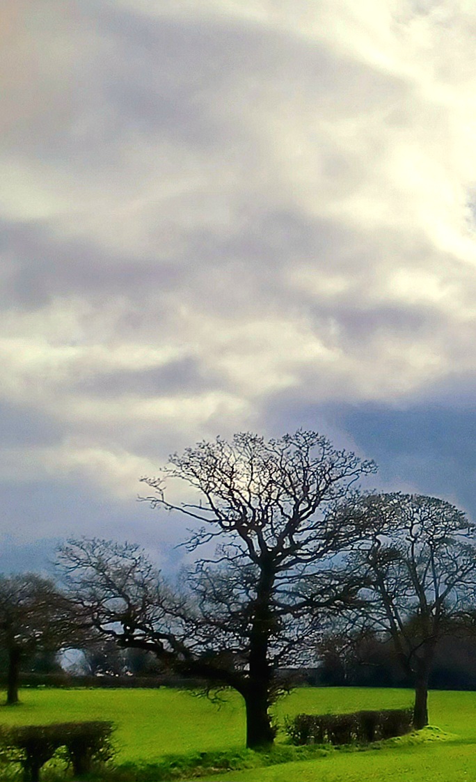 Head in the&nbsp;Clouds